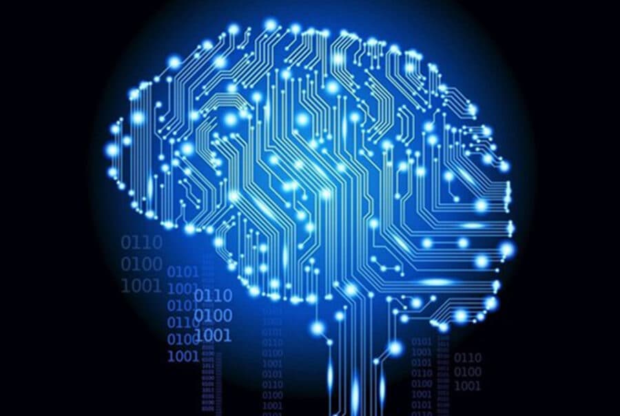 Brain Hack: The Power of Celebration